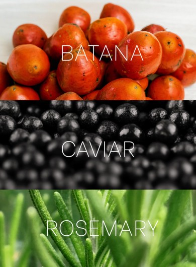Ingredients Mobile